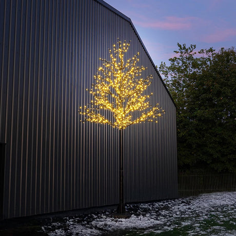 ConnectPro® 5m Branch Tree Static