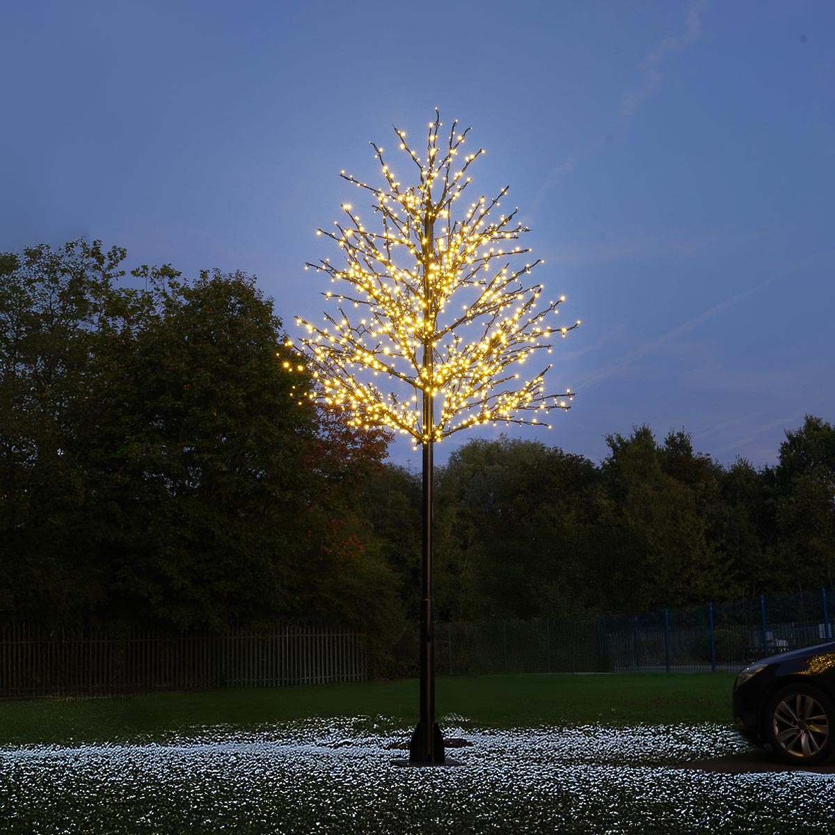 ConnectPro® 5m Branch Tree Static