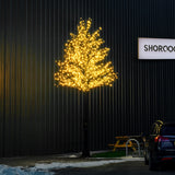 ConnectPro® 5m Branch Tree Static