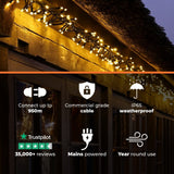 ConnectPro® Warm White Flashing Connectable Outdoor Cluster Lights On Black Cable