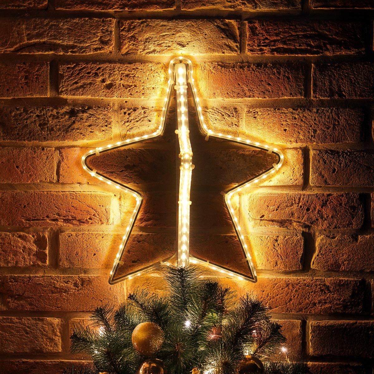 ConnectPro® Star Light Outdoor Silhouette