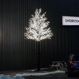ConnectPro® 5m Branch Tree Static