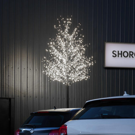 ConnectPro® 5m Branch Tree Static