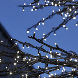 ConnectPro® 5m Branch Tree Static