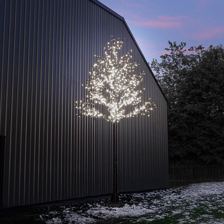 ConnectPro® 5m Branch Tree Static