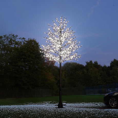 ConnectPro® 5m Branch Tree Static