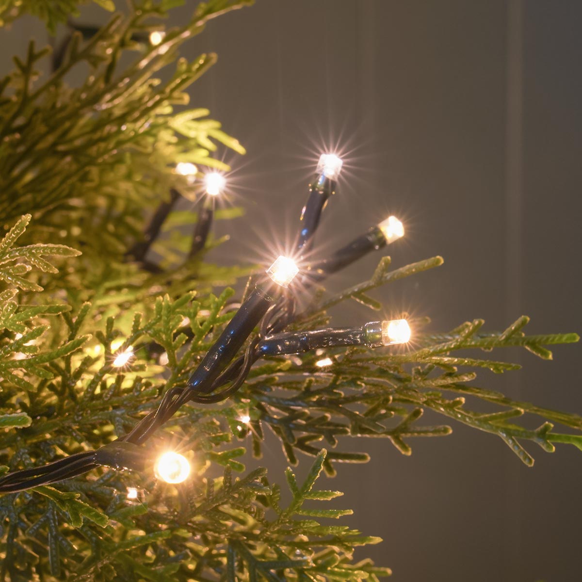 Indoor & Outdoor Twinkling Christmas Tree Fairy Lights