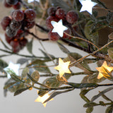 3m Silver Firefly Wire Christmas Tree Star Lights, White and Warm White LEDs