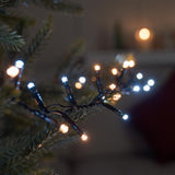 Indoor & Outdoor Twinkling Christmas Tree Fairy Lights