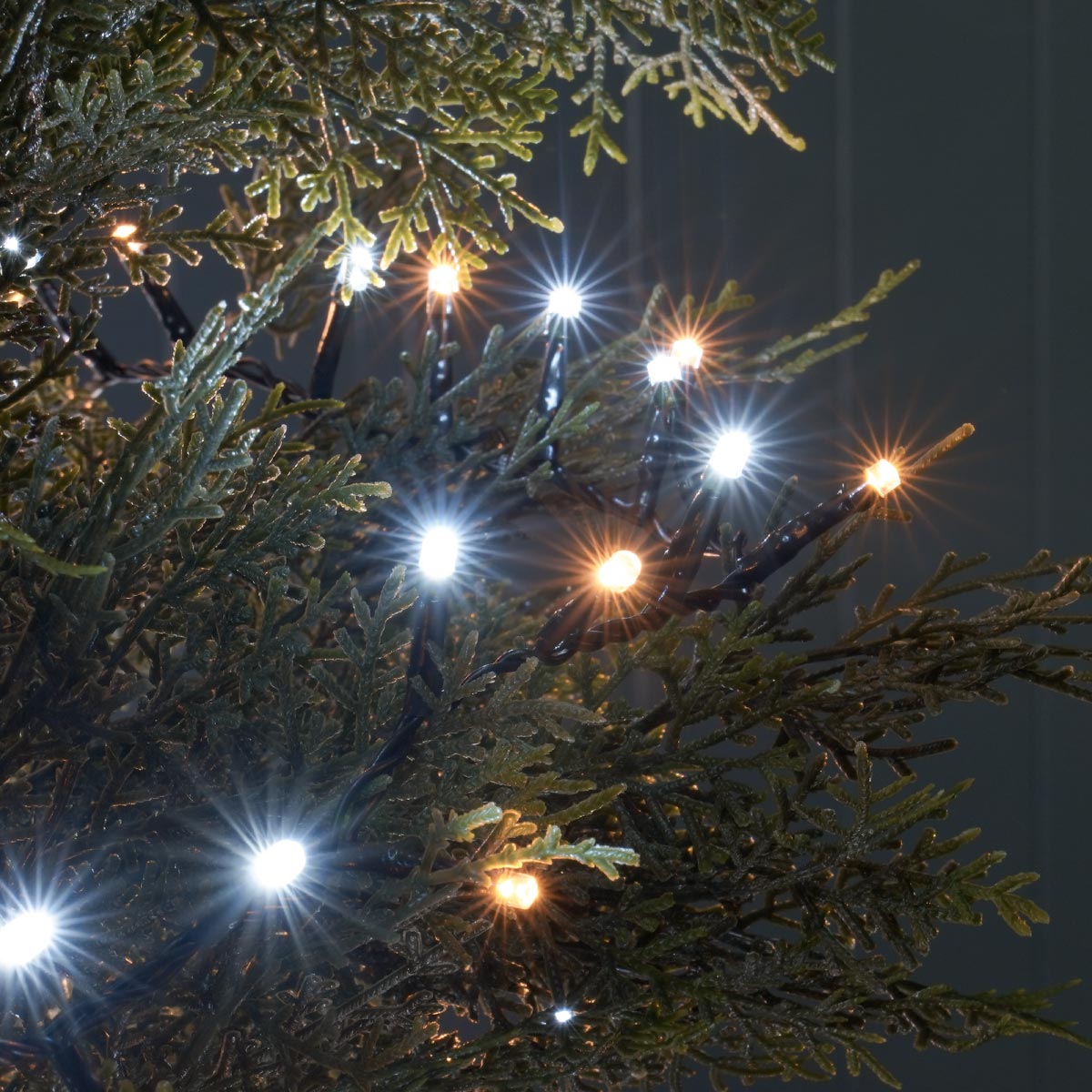 Indoor & Outdoor Twinkling Christmas Tree Fairy Lights