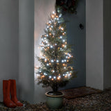 Indoor & Outdoor Twinkling Christmas Tree Fairy Lights