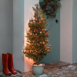 Indoor & Outdoor Twinkling Christmas Tree Fairy Lights