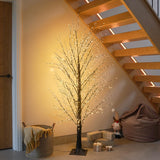 Festive Black Microdot Tree with Warm White LEDs