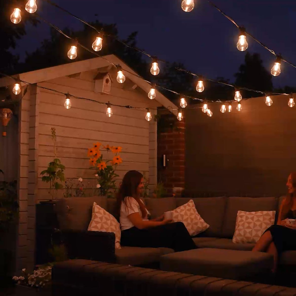 a60-festoon-single-warm-white-filament