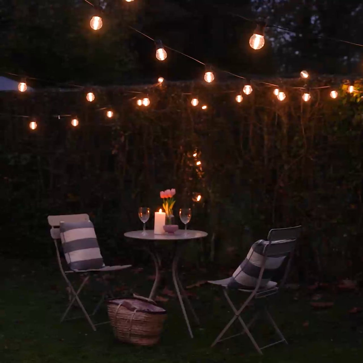 5m-festoon-lights-g50-bulbs