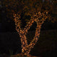 connectgo-warm-white-connectable-outdoor-fairy-lights-clear-cable