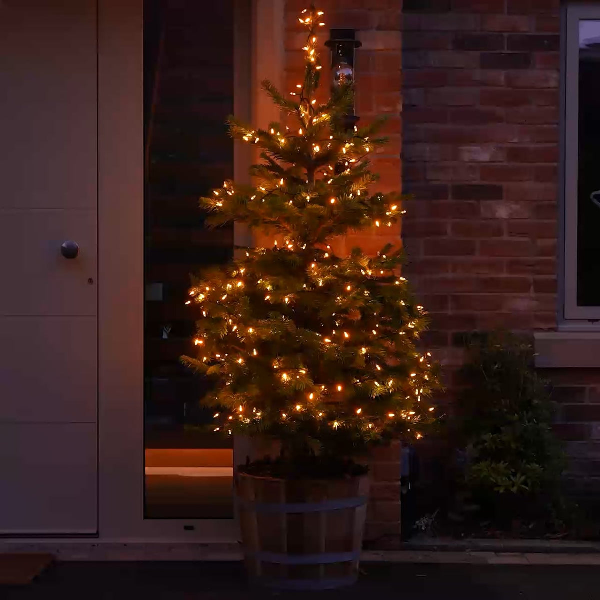 5m-string-lights-traditional-50-leds