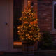 5m-string-lights-traditional-50-leds