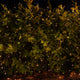 2m-x-2m-net-lights-connectable-180-leds