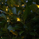 2m-x-2m-connectable-net-lights-140-leds-dark-green-cable