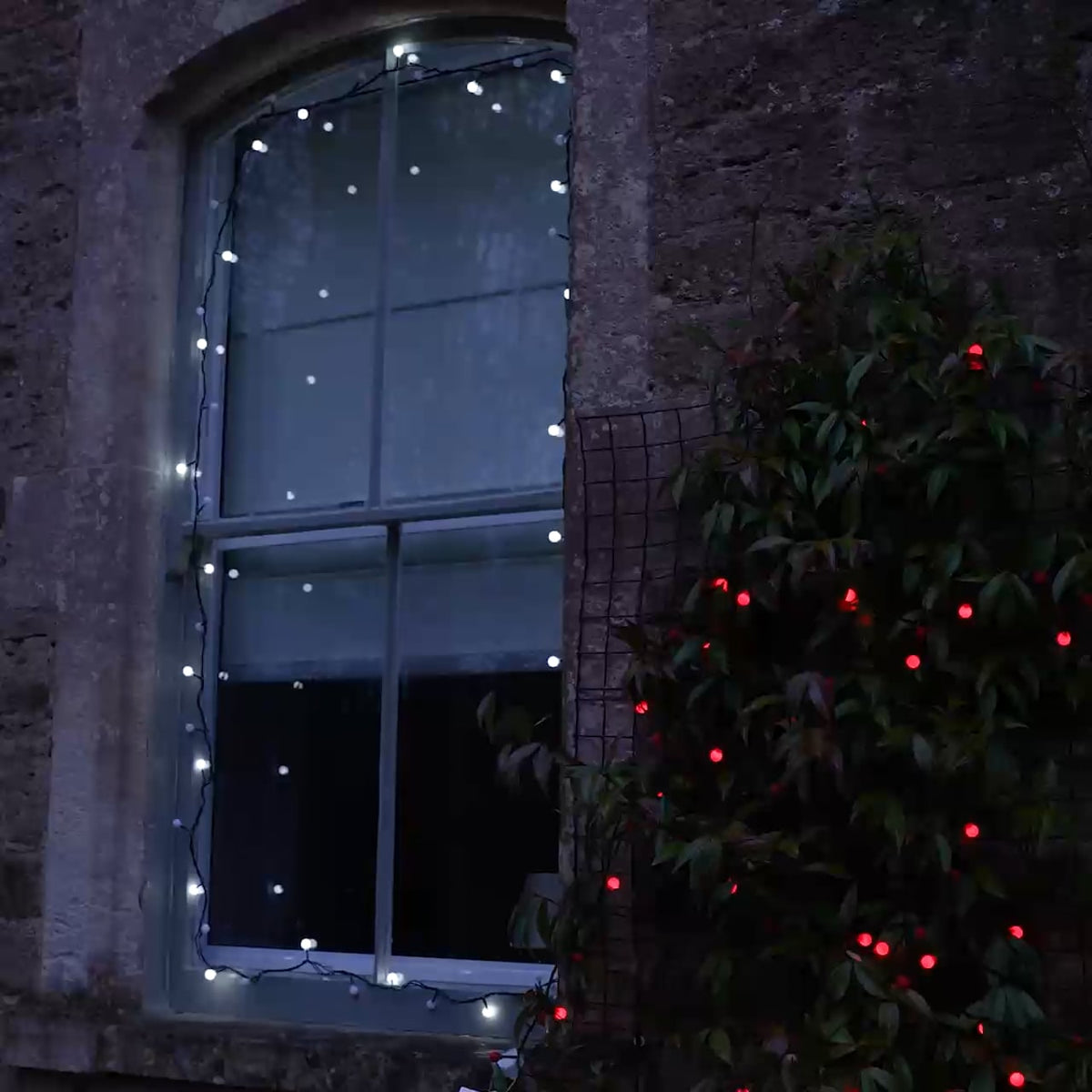 connectgo-led-berry-lights-green-cable
