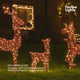 Outdoor Light Up Reindeer Family Christmas Figures Brown Acrylic