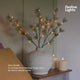 3 x Snowy Pine Battery Twig Lights 36 Warm White LEDs