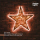 62cm Outdoor Star Light Christmas Silhouette Warm White Neon Flex