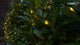 3m-x-3m-net-curtain-280-leds-green-cable-copper-pins-led