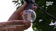 festoon-lights-connectable-warm-white-smd-leds-clear-bulbs-black-rubber-cable