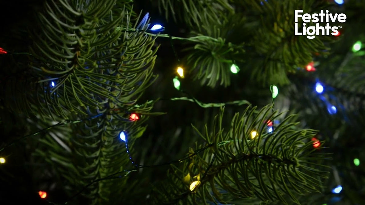 indoor-outdoor-firefly-decor-tree-lights-on-green-wire-multi-coloured-leds