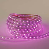 ConnectPro® Cut to Length Outdoor SMD LED Strip Light