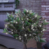 Solar Powered Multi Function LED Fairy Lights