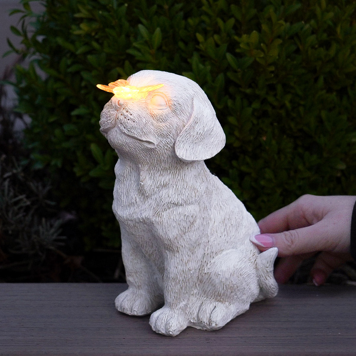Pet Memorial Solar Light Dog with Butterfly