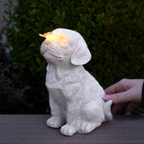 Pet Memorial Solar Light Dog with Butterfly
