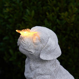 Pet Memorial Solar Light Dog with Butterfly