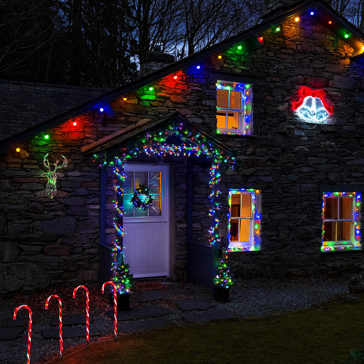 ConnectGo® Festoon Lights, Connectable, Frosted LED Bulbs