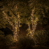 20m Smart App Controlled Twinkly Christmas Fairy Lights, Black Cable, Special Edition - Gen II