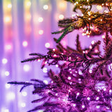 20m Smart App Controlled Twinkly Christmas Fairy Lights, Black Cable, Special Edition - Gen II