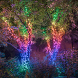 20m Smart App Controlled Twinkly Christmas Fairy Lights, Black Cable, Special Edition - Gen II