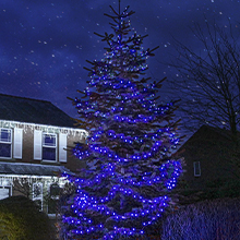 Blue outdoor Christmas tree lights