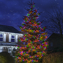 Multi Coloured outdoor Christmas tree lights