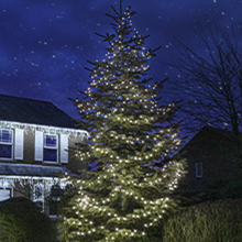 White outdoor Christmas tree lights