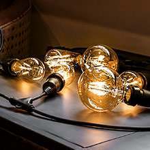 All FestoonPro bulbs